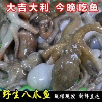 海鮮長腿八爪魚大章魚大爆頭鮮活冷凍深海章魚有墨活體單凍不泡水