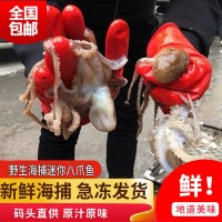 廠家直發(fā)野生海捕八爪魚新鮮鮮活冷凍章魚爆頭長腿八爪魚海鮮批發(fā)