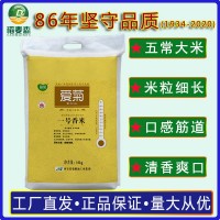 愛菊一號香米 10kg 東北大米批發(fā) 廠家直發(fā) 員工福利