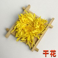 2021年新花金絲皇菊花大朵黃菊花一杯一朵散裝 廠家直銷批發(fā)