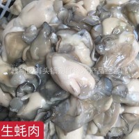 連云港特產當天 現剝去殼 生蠔 海蠣 牡蠣肉 新鮮 鮮活海鮮批發(fā)