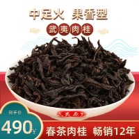 【武夷巖茶 果香肉桂】正巖中足火炭焙烏龍茶葉500g散裝廠家批發(fā)