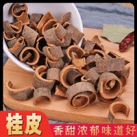 批發(fā)桂皮肉桂桂皮絲調味料 火鍋底料鹵料肉桂量大從優(yōu)