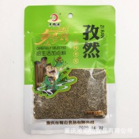 廠家鄉(xiāng)奇珍孜然50g網(wǎng)紅燒烤調(diào)料香料火鍋調(diào)味2022新貨代發(fā)批發(fā)