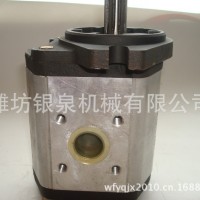 大量供應拖拉機配件——TG1454.581A.1 齒輪泵