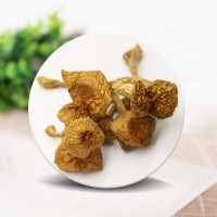 大量批發(fā)東北特產(chǎn)長白山食用菌干蘑菇滑子蘑