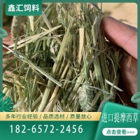 美國(guó)提摩西草 梯牧草 貓尾草 布狗尾馬羊駝兔龍貓 高纖維防治毛球