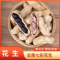 帶殼黑花生農(nóng)家生的黑花生七彩花生帶殼品質(zhì)黑皮紫皮花生農(nóng)家自種