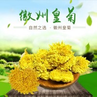 廠家供應(yīng)徽州皇菊婺源皇菊金絲皇菊高山菊花茶 散貨批發(fā) 量大從優(yōu)