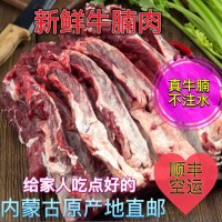 內蒙古特產(chǎn)廠家批發(fā)新鮮牛腩肉牛肋條肉草原牛送禮包裝一件代發(fā)