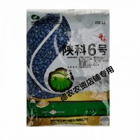 大田種植豐樂(lè)飼料玉米種子陜科6號(hào) 耐高溫抗病抗倒大棒適應(yīng)廣