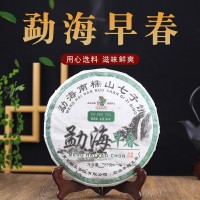 云南茶樹王勐海普洱早春生茶357g餅茶糯山七子餅茶廠家現(xiàn)貨批發(fā)