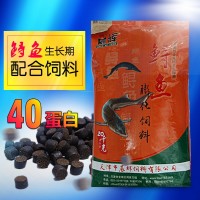 晨輝 鱘魚飼料40蛋白 膨化緩沉顆粒水產養(yǎng)殖飼料 工廠批發(fā)魚飼料