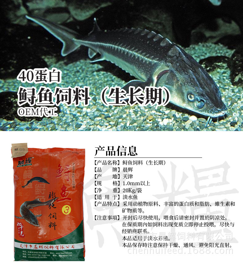 鱘魚40詳情1.jpg