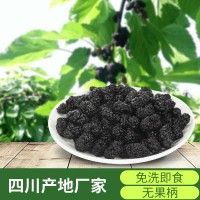 A級(jí)23年新貨桑葚干食用免洗四川黑桑葚子無(wú)沙桑椹干果茶散裝批發(fā)