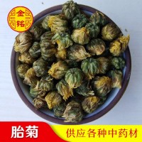 廠家花草茶桐鄉(xiāng)胎菊 菊花 散裝 批發(fā)供應胎菊茶泡茶