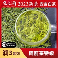 【2023年新茶上市】竺之潤正宗安吉白茶雨前茶特級250克蘭花香