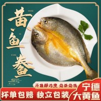 寧德新鮮大黃魚開背黃魚鲞冷凍海鮮批發(fā)香煎黃花魚水產(chǎn)餐飲黃瓜魚