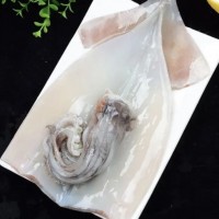 新鮮速凍單凍【白魷魚片】魷魚身魷魚筒隆云魷魚尾 燒烤食材海鮮