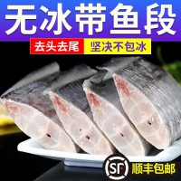 帶魚段批發(fā)新鮮冷凍海鮮刀魚中段鮮活帶魚段特大海魚東海整箱級(jí)