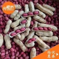 當(dāng)季新貨四粒紅皮花生帶殼曬干生四粒紅農(nóng)家新貨四粒紅花生