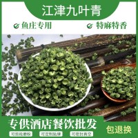 花椒粒批發(fā)青花椒重慶江津九葉青花椒500g藤椒 水煮魚麻辣魚