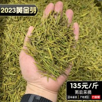 黃金芽茶葉2023新茶安吉高山珍惜白茶豆香型綠茶葉批發(fā)散裝