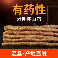 溫縣鐵棍山藥新鮮正宗河南焦作特產(chǎn)懷山藥壚土非淮山藥特批發(fā)產(chǎn)地