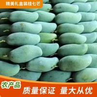 廣西百色桂七芒果新鮮當(dāng)季熱帶水果青芒禮盒果園直發(fā)