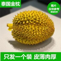 金枕榴蓮泰國(guó)原產(chǎn)進(jìn)口新鮮水果新鮮帶殼整個(gè)裝代發(fā)