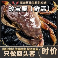 珍寶蟹鮮活面包蟹特大超大螃蟹海鮮水產(chǎn)進口新鮮黃金蟹公蟹肉蟹