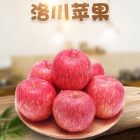 長期供應(yīng)陜西洛川正宗紅富士蘋果新鮮水果5斤/10斤一件代發(fā)