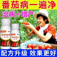 番茄病菌清殺清菌劑枯萎病蔓枯病葉枯病爛番茄專(zhuān)用藥西紅柿藥