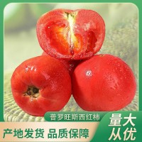 批發(fā)一件代發(fā)新鮮蔬菜沙瓤生吃自然熟水果番茄草莓普羅旺斯西紅柿