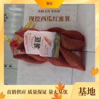 薯匠 供應(yīng)鮮美香甜營(yíng)養(yǎng)紅心紅薯甘薯地瓜 糖化口感好