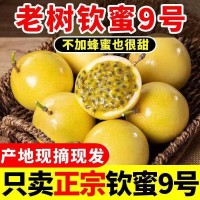 海南黃金百香果 欽蜜九號 蜂蜜百香果，純甜可空口吃