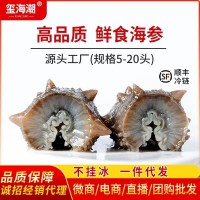 璽海潮廠家批發(fā)即食海參鮮食海參遼刺參非淡干海參干貨批發(fā)代發(fā)