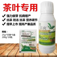 茶葉茶樹專用葉面肥催芽劑催芽素茶樹茶葉防凍防寒專用藥