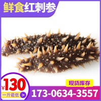 【工廠直供】阿拉斯加即食500g進(jìn)口海參美國(guó)紅參現(xiàn)貨批發(fā)