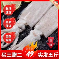 鮮活深海捕冷凍水產(chǎn)新鮮大魷魚尤魚整只燒烤批發(fā)水產(chǎn)非干貨燒烤