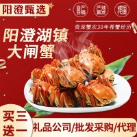 大閘蟹螃蟹禮品微商私域社區(qū)團購企業(yè)采集量大價優(yōu)陽澄湖鎮(zhèn)直發(fā)