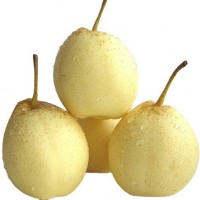 廠家常年供應(yīng)新梨7號(hào) pear 歡迎選購(gòu) 價(jià)格美麗