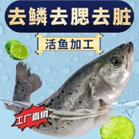 海鱸魚整條新鮮三去開背寧德海鱸魚鮮活冷凍海捕魚類海鮮燒烤魚批