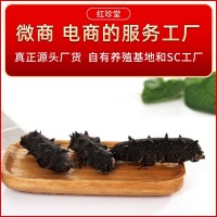 淡干海參批發(fā)非海參禮盒水產(chǎn)干貨特產(chǎn)海參干貨