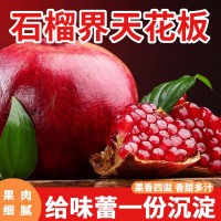 突尼斯軟籽石榴四川會(huì)理當(dāng)季新鮮水果石榴純甜紅籽水晶甜石榴批發(fā)