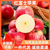 【禮盒/果規(guī)加工定制】甘肅紅富士蘋果