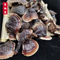 金邊小靈芝小靈芝多規(guī)格整朵靈芝泡茶煲湯靈芝干貨送禮 靈芝批發(fā)