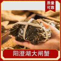 陽澄湖大閘蟹 母3兩公4兩*5對 儲藏冷凍 鮮活直達(dá) 荷泉蟹莊