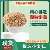 廠家供應 去皮小麥粒五谷雜糧熬粥麥仁米小麥仁批發(fā) 海量庫存