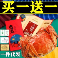 大閘蟹鮮活螃蟹禮盒禮券蟹卡提貨卡陽(yáng)澄湖鎮(zhèn)8只公蟹4.0樣卡未激活